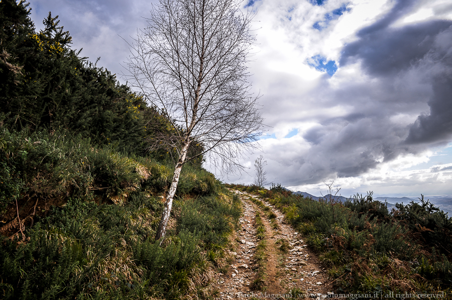 D700-14DSC_5291 - 06 dicembre 2014