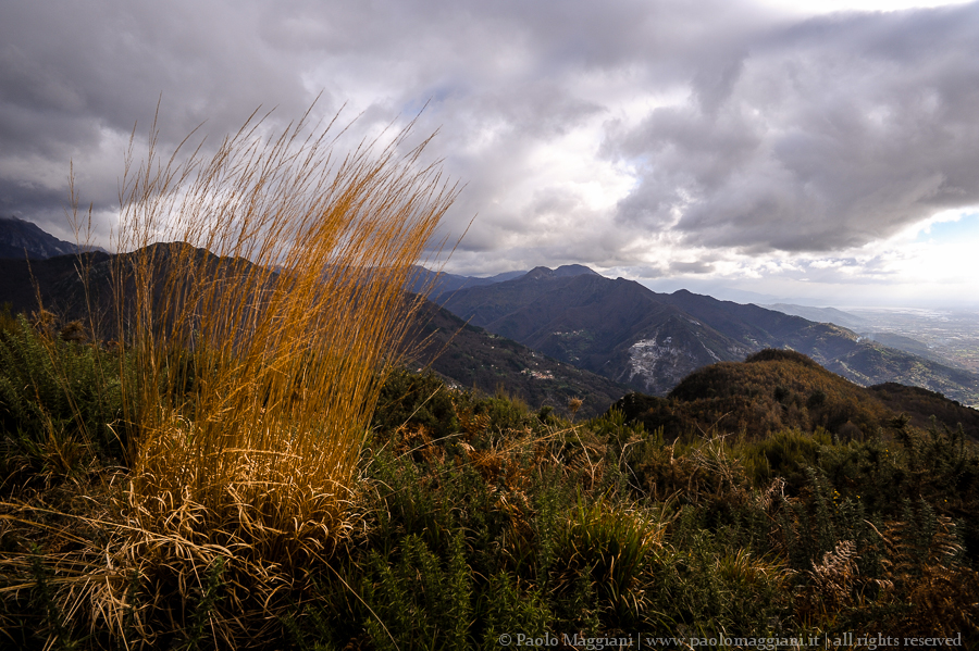 D700-14DSC_5300 - 06 dicembre 2014