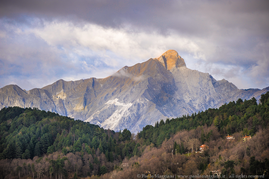 D700-14_DSC5314 - 06 dicembre 2014