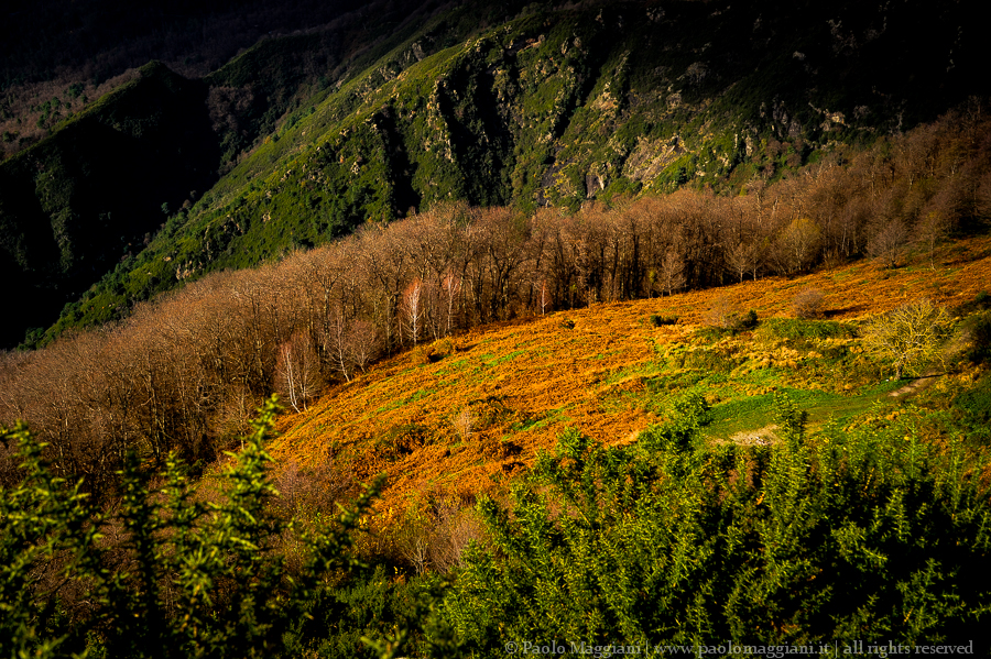 D700-14_DSC5348 - 06 dicembre 2014