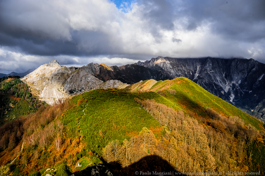 D700-14_DSC5350 - 06 dicembre 2014