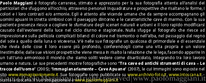 PaoloMaggiani2008 - 02 gennaio 2014