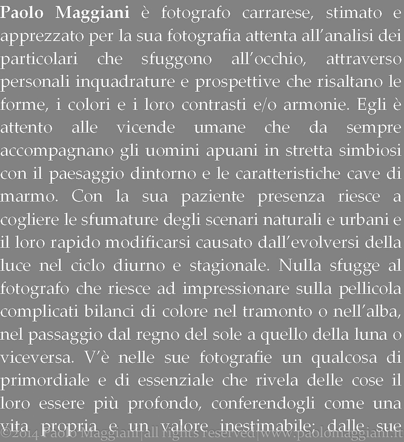 PaoloMaggiani2009-1 - 02 gennaio 2014